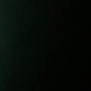 Meet your Posher, Trevor